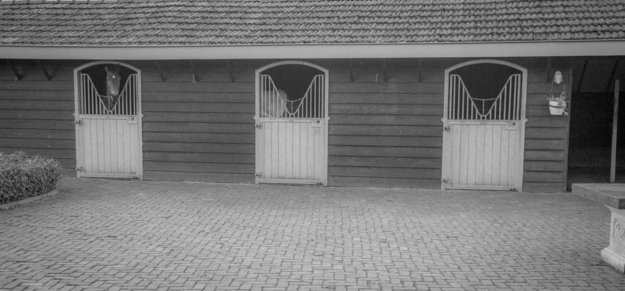 Bed En Box 3610 Panzió Oirschot Kültér fotó
